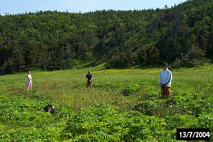 The rectangular vegetation shadow of raspberry patch, identifying a possible cultural feature.